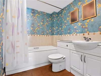 Picture 15